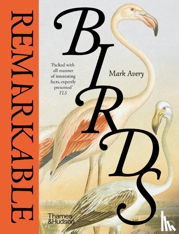 Avery, Mark - Remarkable Birds