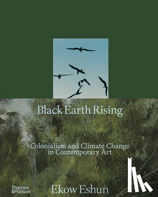 Eshun, Ekow - Black Earth Rising