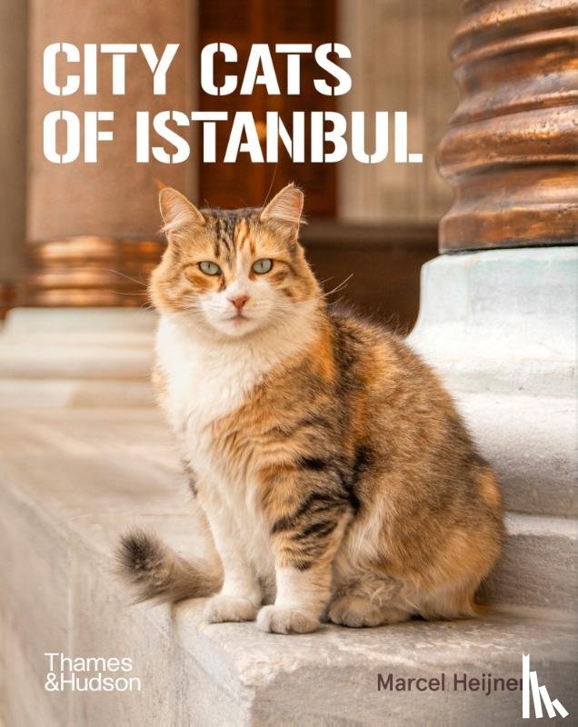 Heijnen, Marcel - City Cats of Istanbul