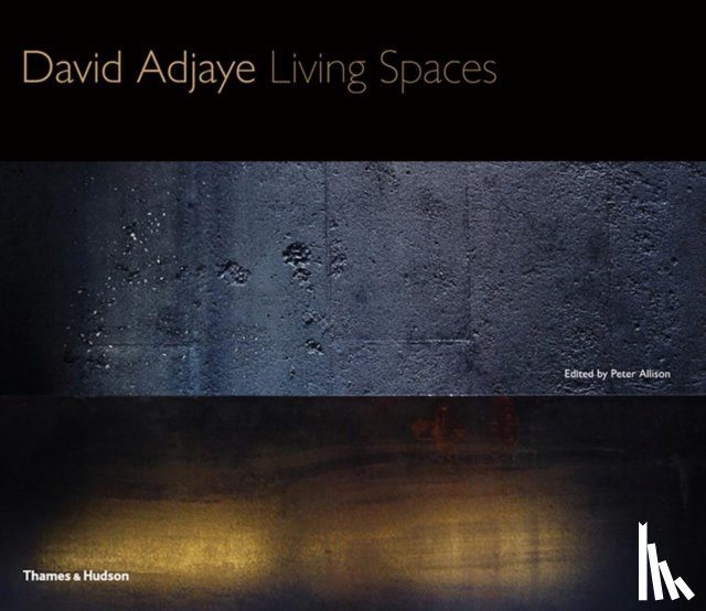  - David Adjaye