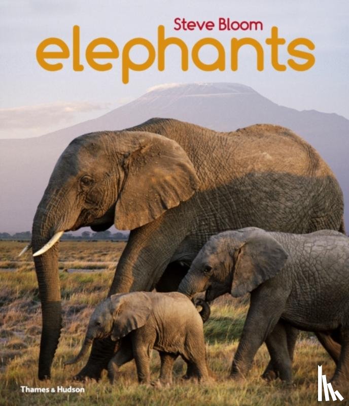 Bloom, Steve - Elephants