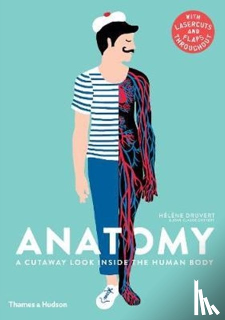 Druvert, Hélène - Anatomy