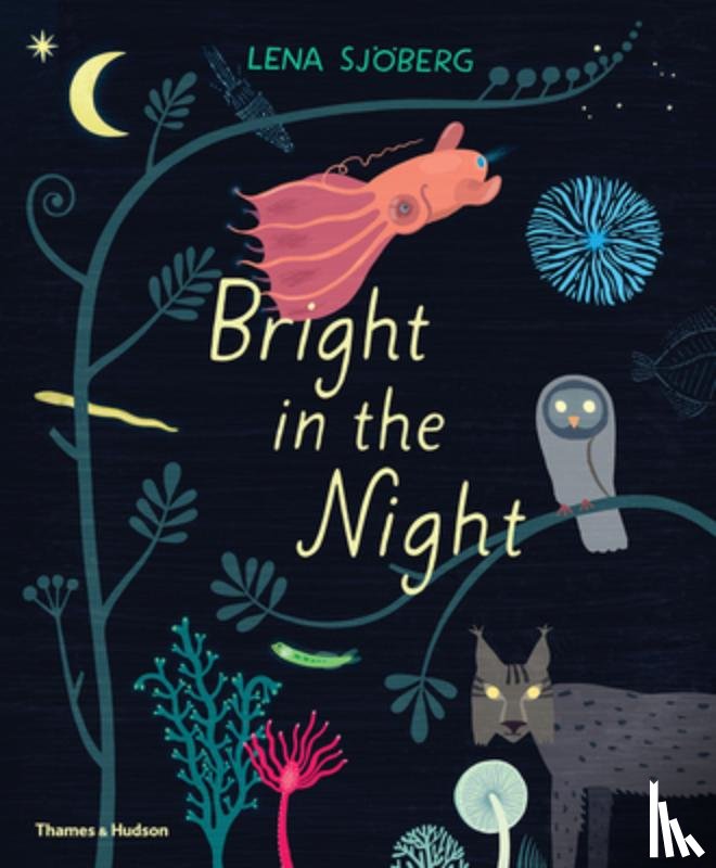 Sjöberg, Lena - Bright in the Night