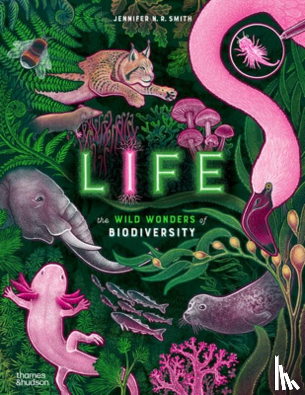 Smith, Jennifer N. R. - Life