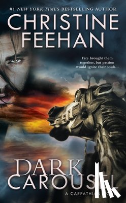 Feehan, Christine - Dark Carousel