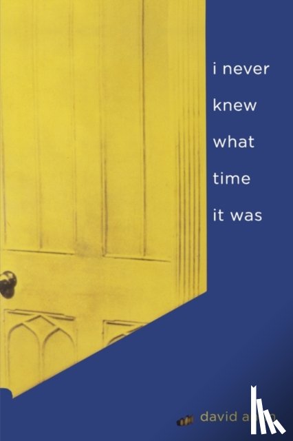 Antin, David - i never knew what time it was