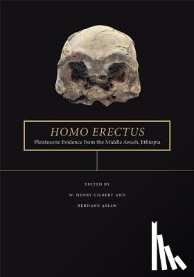  - Homo erectus