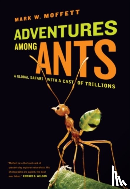 Moffett, Mark W. - Adventures among Ants