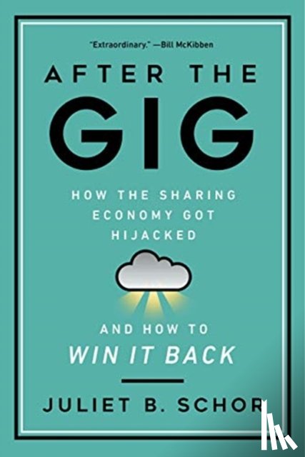 Schor, Juliet - After the Gig