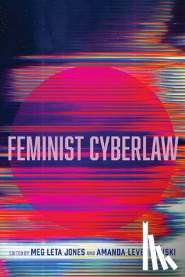  - Feminist Cyberlaw