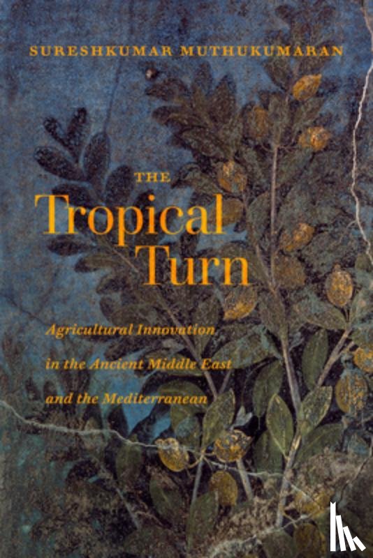 Muthukumaran, Sureshkumar - The Tropical Turn
