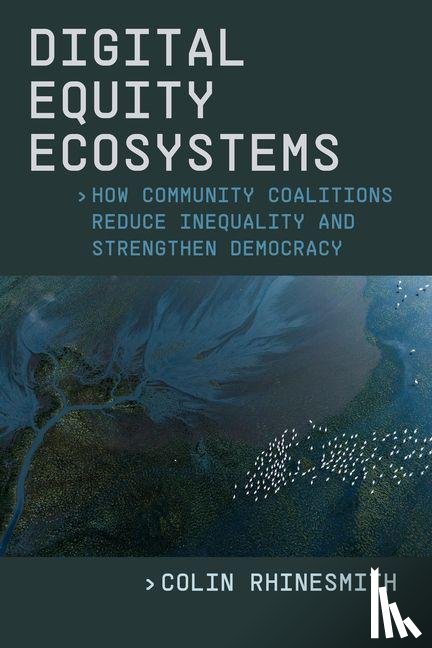 Rhinesmith, Colin - Digital Equity Ecosystems
