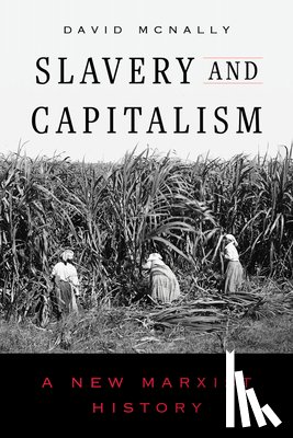 McNally, David - Slavery and Capitalism