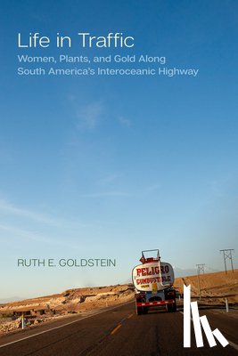 Goldstein, Ruth E. - Life in Traffic