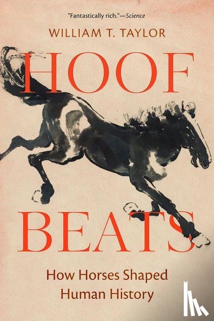 Taylor, William T. - Hoof Beats