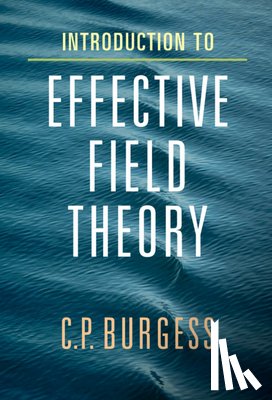 Burgess, C. P. - Introduction to Effective Field Theory