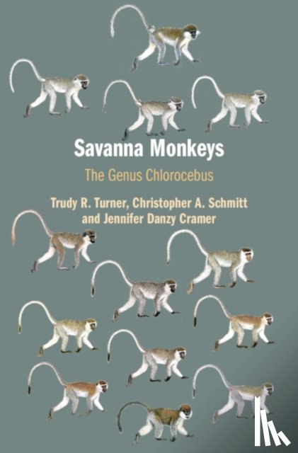 Turner, Trudy R. (University of Wisconsin, Schmitt, Christopher A. (Boston University), Cramer, Jennifer Danzy - Savanna Monkeys