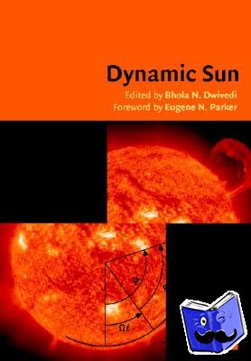  - Dynamic Sun