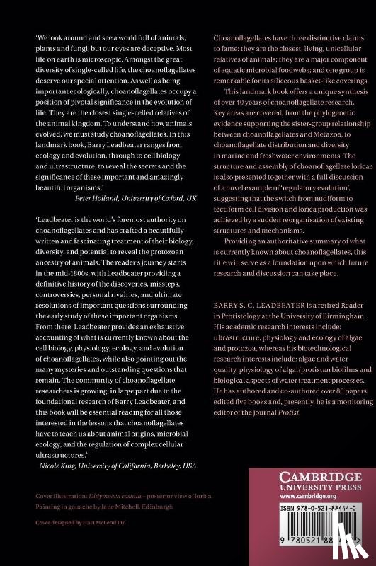 Leadbeater, Barry S. C. (Dr - The Choanoflagellates