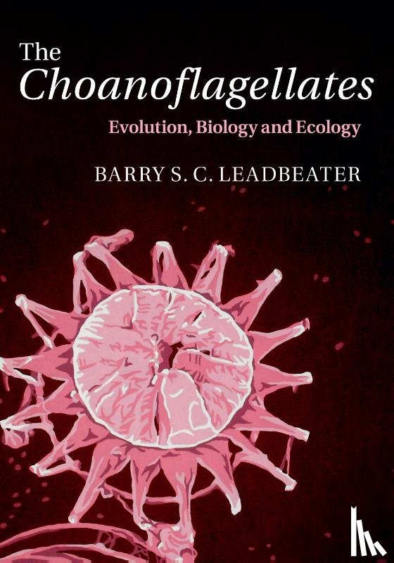 Leadbeater, Barry S. C. (Dr, University of Birmingham) - The Choanoflagellates
