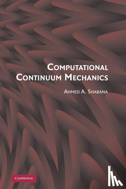 Shabana, Ahmed A. (University of Illinois - Computational Continuum Mechanics