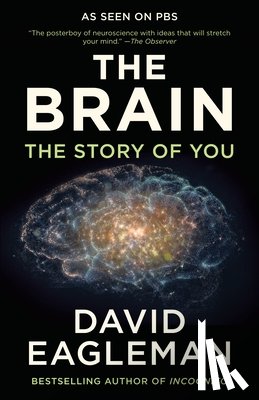 David Eagleman - The Brain