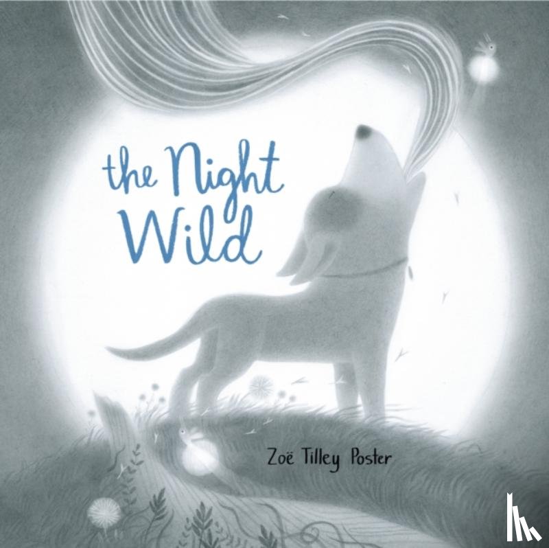 Poster, Zoe Tilley - The Night Wild