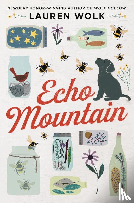 Wolk, Lauren - Echo Mountain