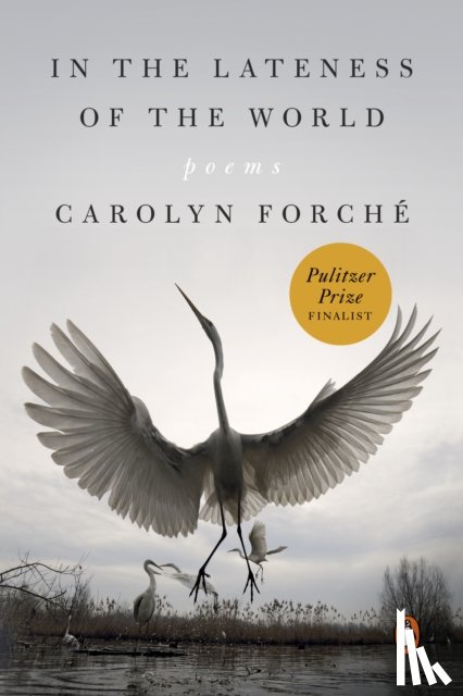 Forche, Carolyn - In the Lateness of the World