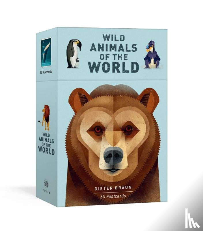 Dieter Braun - Wild Animals of the World: 50 Postcards