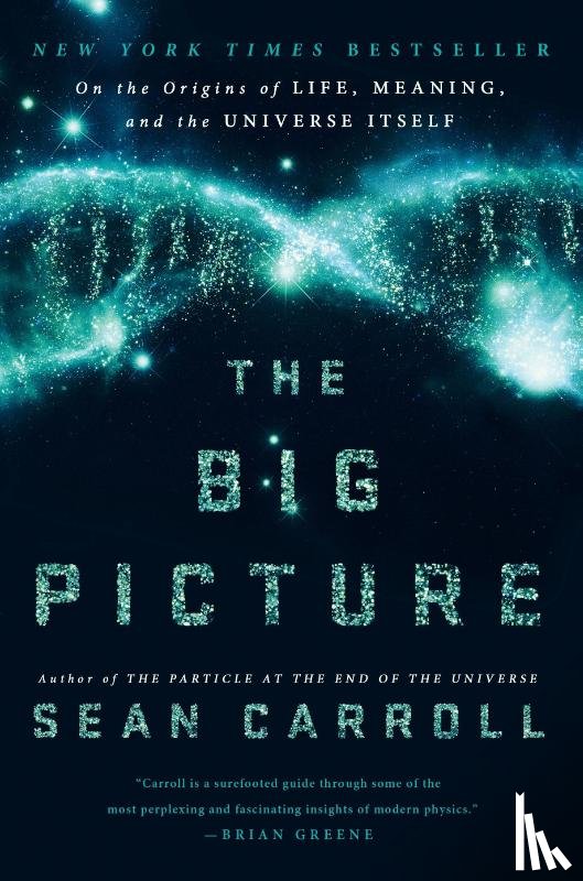 Carroll, Sean - Big Picture