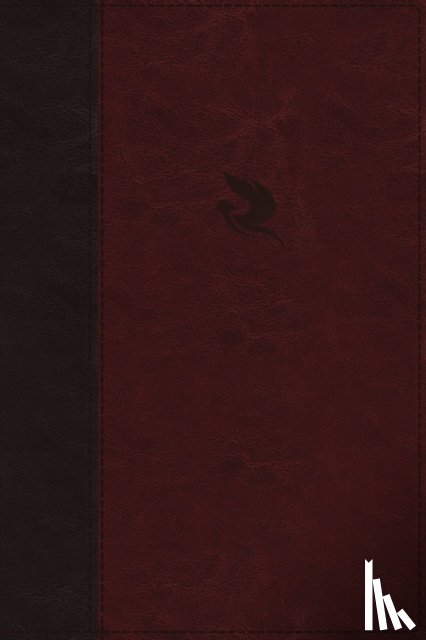 Hayford, Jack W. - NKJV, Spirit-Filled Life Bible, Third Edition, Leathersoft, Burgundy, Red Letter, Comfort Print