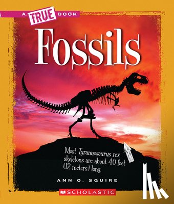 Ann O. Squire - Fossils (A True Book: Earth Science)