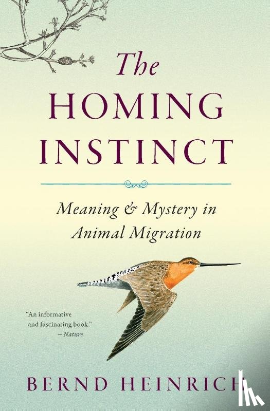 Heinrich Bernd Heinrich - The Homing Instinct