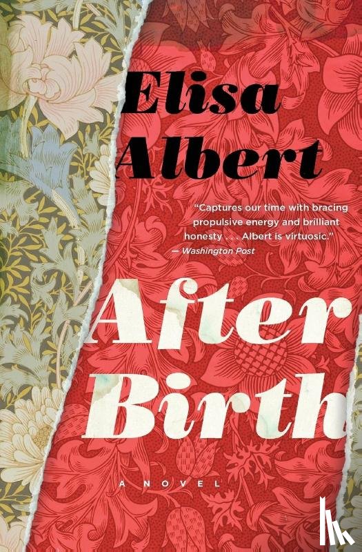 Albert Elisa Albert - After Birth