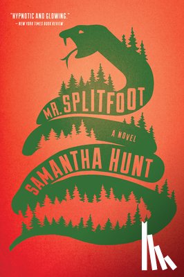 Hunt Samantha Hunt - Mr. Splitfoot