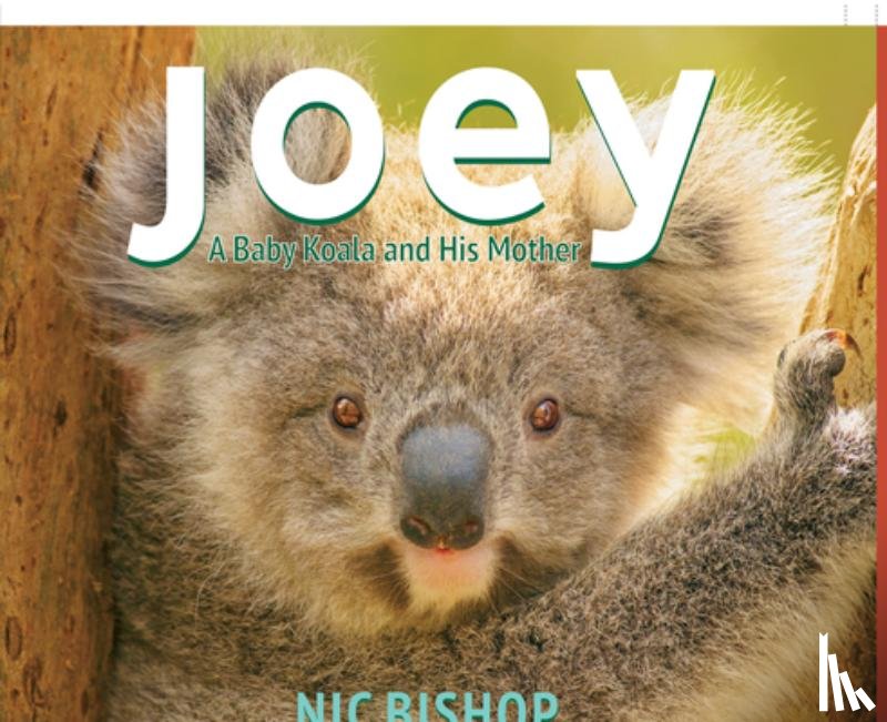 Bishop, Nic - JOEY A BABY KOALA & HIS MOTHER