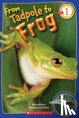 Zoehfeld, Kathleen Weidner - From Tadpole to Frog (Scholastic Reader, Level 1)