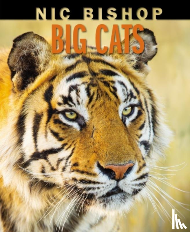 Bishop, Nic - Big Cats