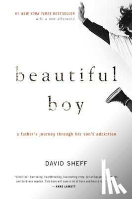 David Sheff, Sheff - Beautiful Boy