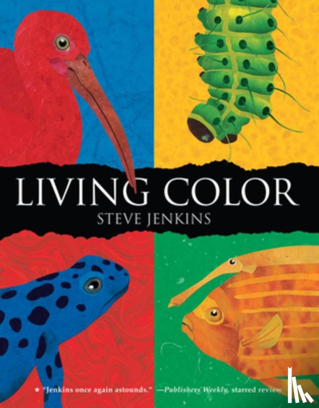 Jenkins Steve Jenkins - Living Color