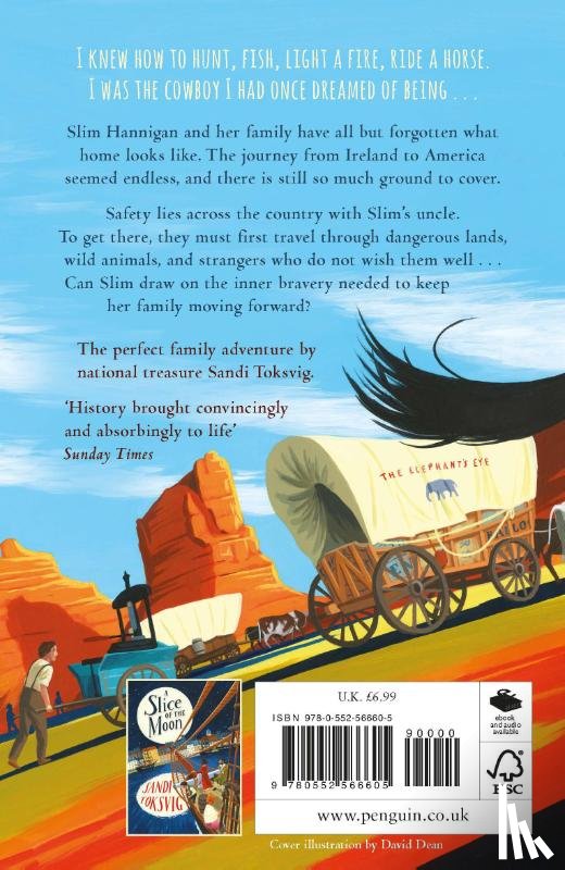 Toksvig, Sandi - The End of the Sky