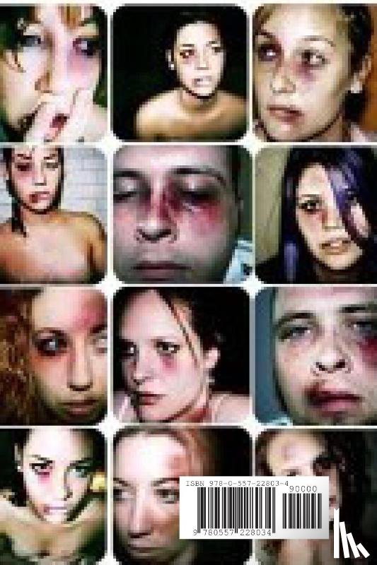 Heitmeyer, Lt. Jim - Police Response to Domestic Violence