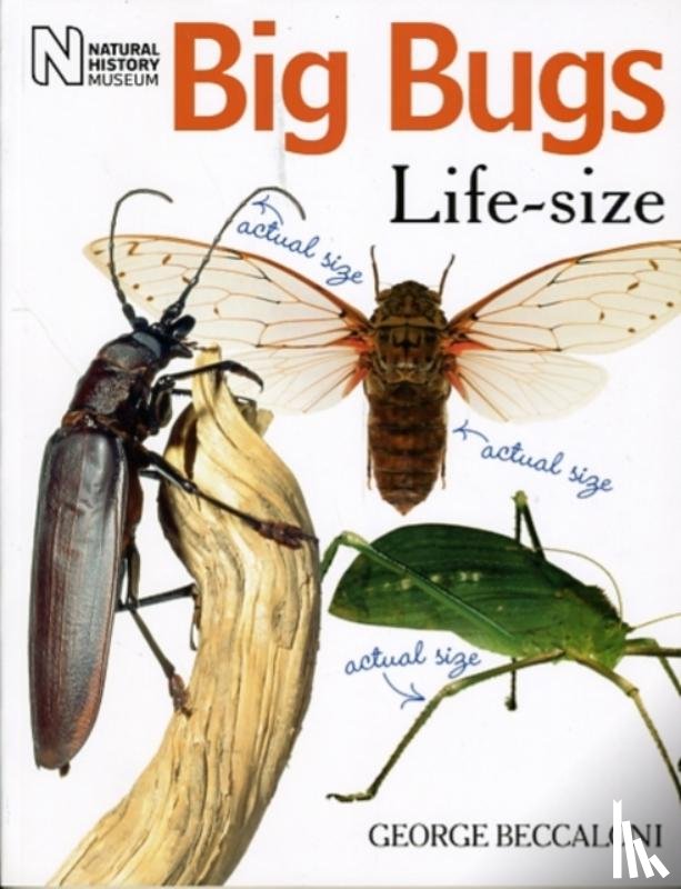 Beccaloni, George - Big Bugs Life-Size