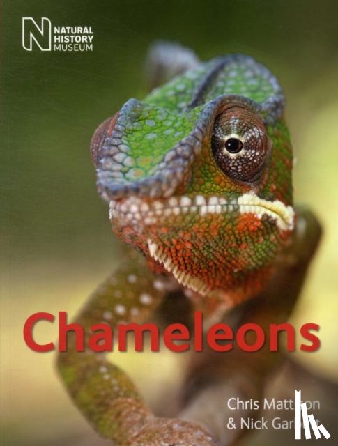 Mattison, Chris - Chameleons