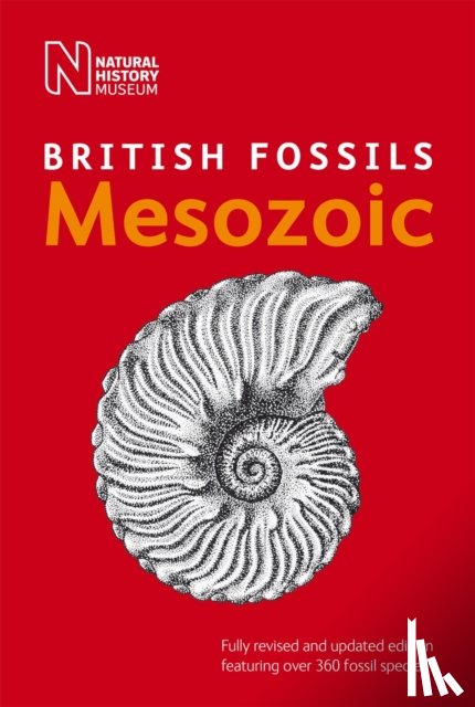 Natural History Museum - British Mesozoic Fossils