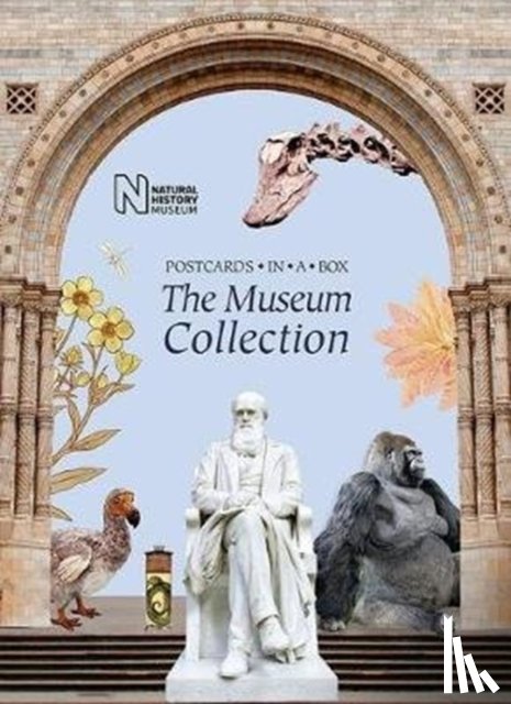 Natural History Museum - The Museum Collection