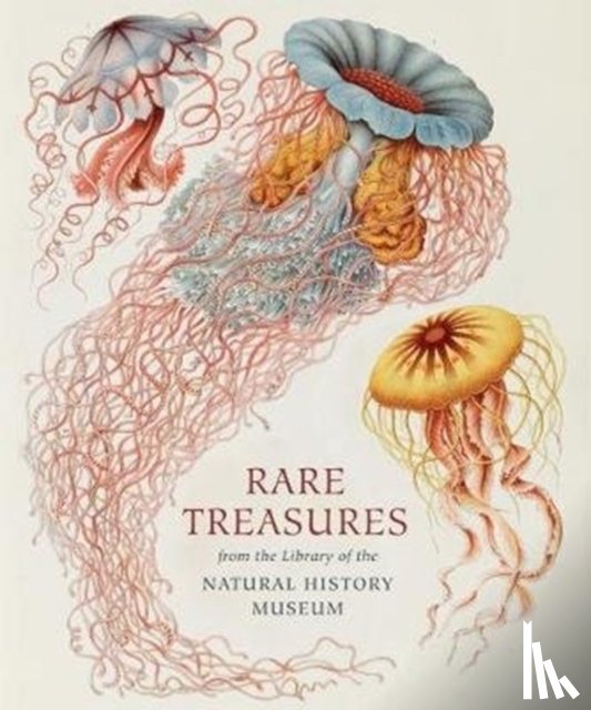 Magee, Judith - Rare Treasures