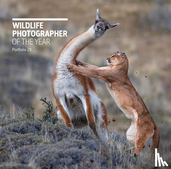  - Wildlife Photographer of the Year: Portfolio 29