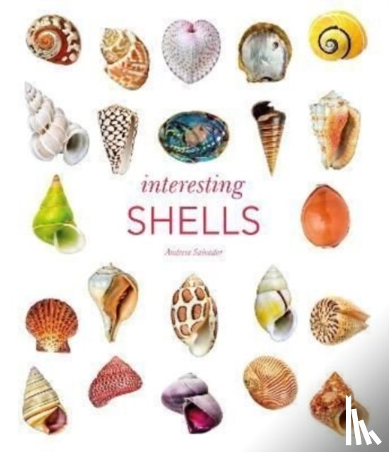 Salvador, Andreia - Interesting Shells